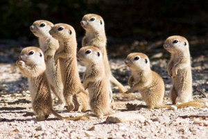 Природа хакасія Природа хакасія