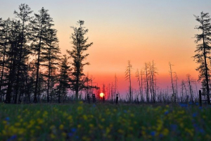 Природа якутії Природа якутії