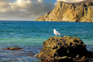 Природа криму Природа криму