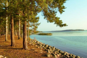 Природа ленінградської області Природа ленінградської області