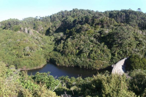 Природа нової зеландії: від морського дна до дверей Природа нової зеландії: від морського дна до дверей