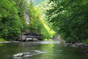 Природа сахалін Природа сахалін