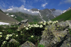 Природа північна осетія Природа північна осетія