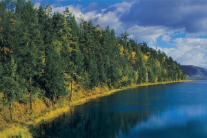 Природа сибіру та східного сибіру Природа сибіру та східного сибіру