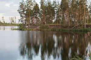 Природа володимирської області Природа володимирської області