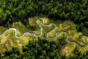 Проблеми амазонки Проблеми амазонки