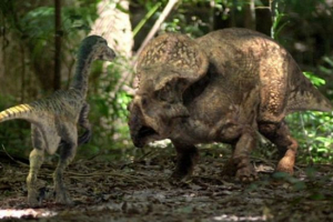 Протоцератопи Протоцератопи