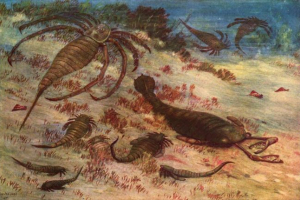 Ракоспкомон - страшні хижаки з давнини Ракоспкомон - страшні хижаки з давнини