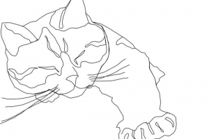 Розмальовки котів і кошенят для дітей