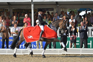 Рейтинг найдорожчих порід коней Рейтинг найдорожчих порід коней