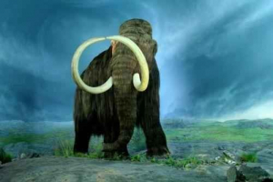 Найцікавіші факти про мамонтів Найцікавіші факти про мамонтів