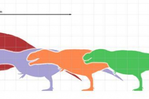 Найдовший хижий динозавр Найдовший хижий динозавр