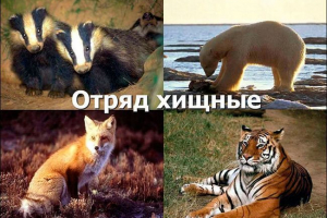 Список загону Список загону