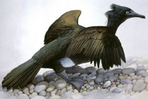 Бабни Бабни