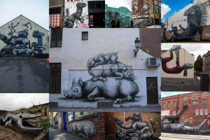 Вуличне мистецтво від петра роа: чорно-білі тварини Вуличне мистецтво від петра роа: чорно-білі тварини