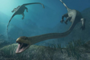 Таністройн - ящірка з неймовірно довгою шиєю Таністройн - ящірка з неймовірно довгою шиєю