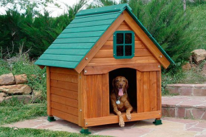 Теплий каравел для собак - зробіть це самостійно, малюнки та інструкції Теплий каравел для собак - зробіть це самостійно, малюнки та інструкції