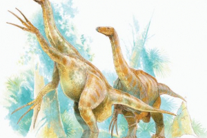 Теразинозавр Теразинозавр