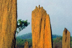 Thermantnik - шедевр інженерне мистецтво Thermantnik - шедевр інженерне мистецтво