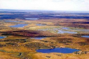 Термін автомобілі: визначення, формування та вплив на навколишнє середовище Термін автомобілі: визначення, формування та вплив на навколишнє середовище