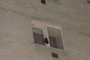 Тюменські рятувальники врятували кішку застряг у вікні Тюменські рятувальники врятували кішку застряг у вікні