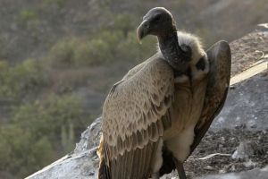 Тонкий прохолодний ковток Тонкий прохолодний ковток