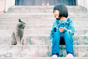 Топ-3 кращі казки про кішок з дитинства