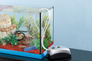 Топ-5 тихий і тихий компресори для акваріума Топ-5 тихий і тихий компресори для акваріума