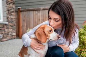 Найкращі кращі цитати про собак з сенсом