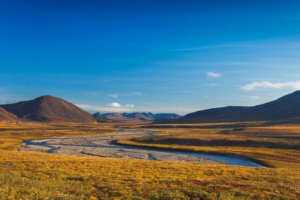 Тундра Тундра