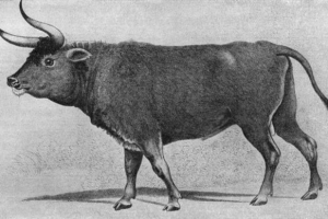 Турист Турист