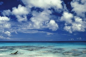 Вчені: планктон бере участь у формуванні хмар Вчені: планктон бере участь у формуванні хмар