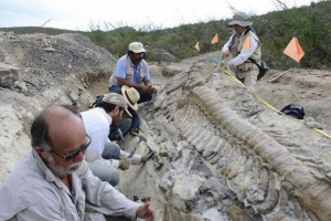 Вчені з усього світу шукають залишки динозаврів на вологді