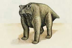 Вчені з'ясували, що деякі динозаври пішли на чотири ноги Вчені з'ясували, що деякі динозаври пішли на чотири ноги