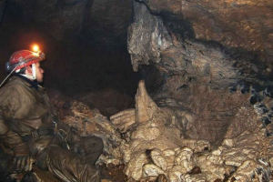 Чотири нові види тварин, знайдені в алтайській печері Чотири нові види тварин, знайдені в алтайській печері