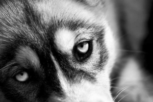 У башкирії, чоловік кинув дочку з четвертого поверху У башкирії, чоловік кинув дочку з четвертого поверху