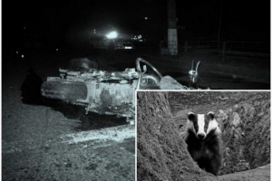 В естонії, бордюри спровокували аварію, не втрачаючи дороги до байкерів В естонії, бордюри спровокували аварію, не втрачаючи дороги до байкерів
