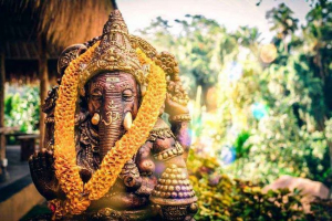 У яких країнах світу, які тварини вважаються священними? У яких країнах світу, які тварини вважаються священними?