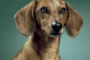 У омську, невідомі люди, опускаються кислотою У омську, невідомі люди, опускаються кислотою