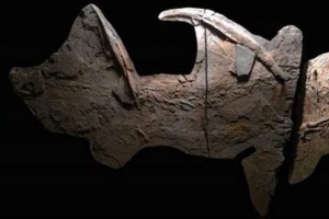 Залишки стародавньої супер-акули були знайдені в техасі Залишки стародавньої супер-акули були знайдені в техасі