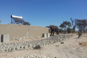 У зімбабве побудував незвичайний туалет У зімбабве побудував незвичайний туалет