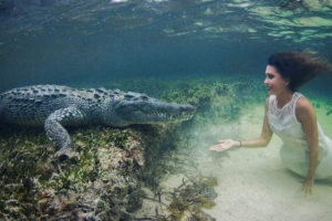 Відео, на якому роберта манчіно влаштувала фотосесію з крокодилом, був вдарив інтернет Відео, на якому роберта манчіно влаштувала фотосесію з крокодилом, був вдарив інтернет