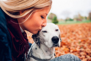 Вибираючи породу собак за знаком зодіаку Вибираючи породу собак за знаком зодіаку