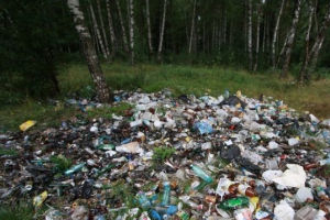 Забруднення лісу Забруднення лісу