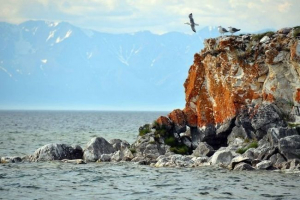 Система збереження росії святкує вікове ювілей Система збереження росії святкує вікове ювілей