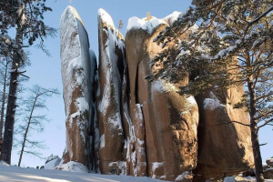 Заповідник поляки: сибірський сибірський пишнот Заповідник поляки: сибірський сибірський пишнот