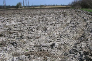 Солонізація грунту Солонізація грунту