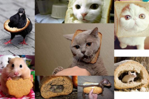 Тварини в хлібі: зло? Тварини в хлібі: зло?