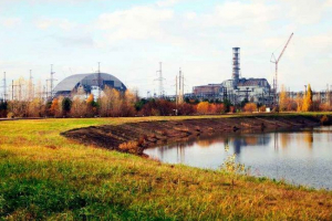 Тваринний світ чорнобиль - характеристика, мутації, фотографії та відео Тваринний світ чорнобиль - характеристика, мутації, фотографії та відео