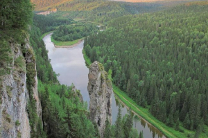 Тваринний світ уралу Тваринний світ уралу